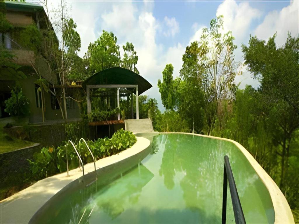 Mangrove Escapes Resort Bentota Eksteriør billede