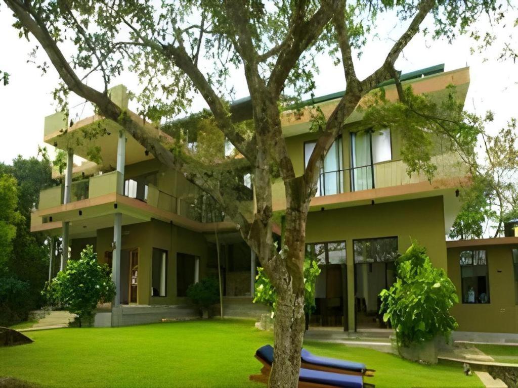 Mangrove Escapes Resort Bentota Eksteriør billede