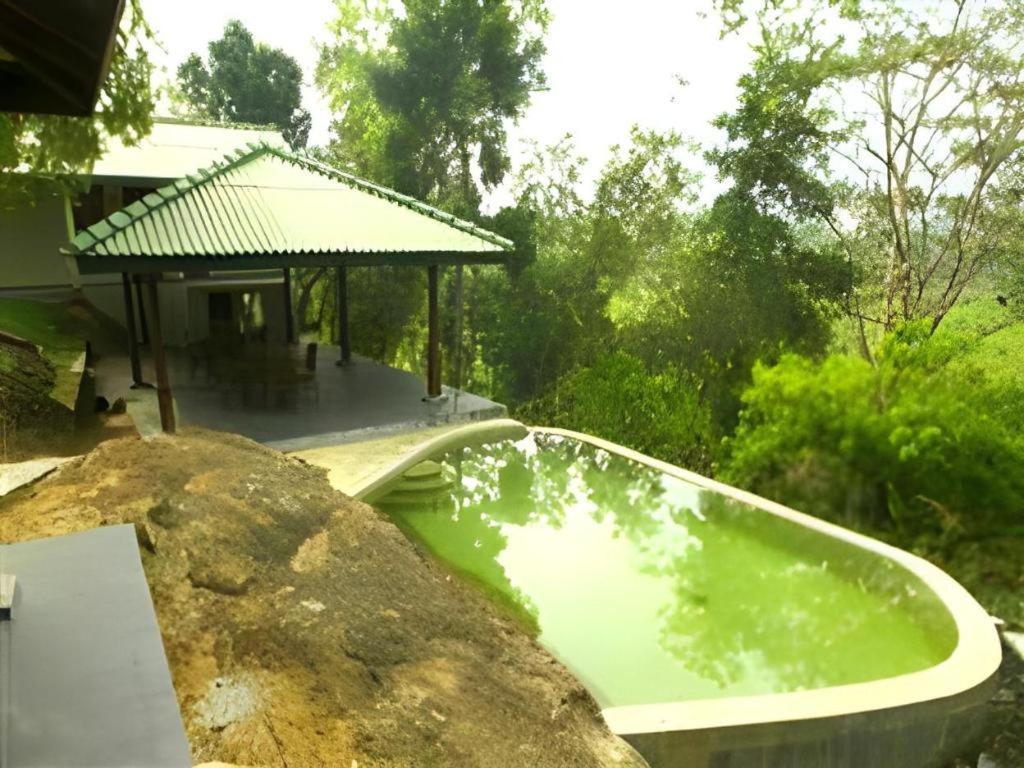 Mangrove Escapes Resort Bentota Eksteriør billede