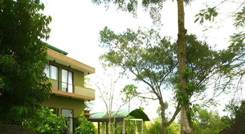 Mangrove Escapes Resort Bentota Eksteriør billede