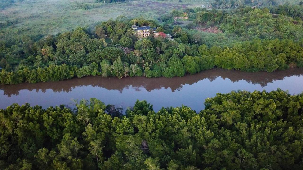 Mangrove Escapes Resort Bentota Eksteriør billede