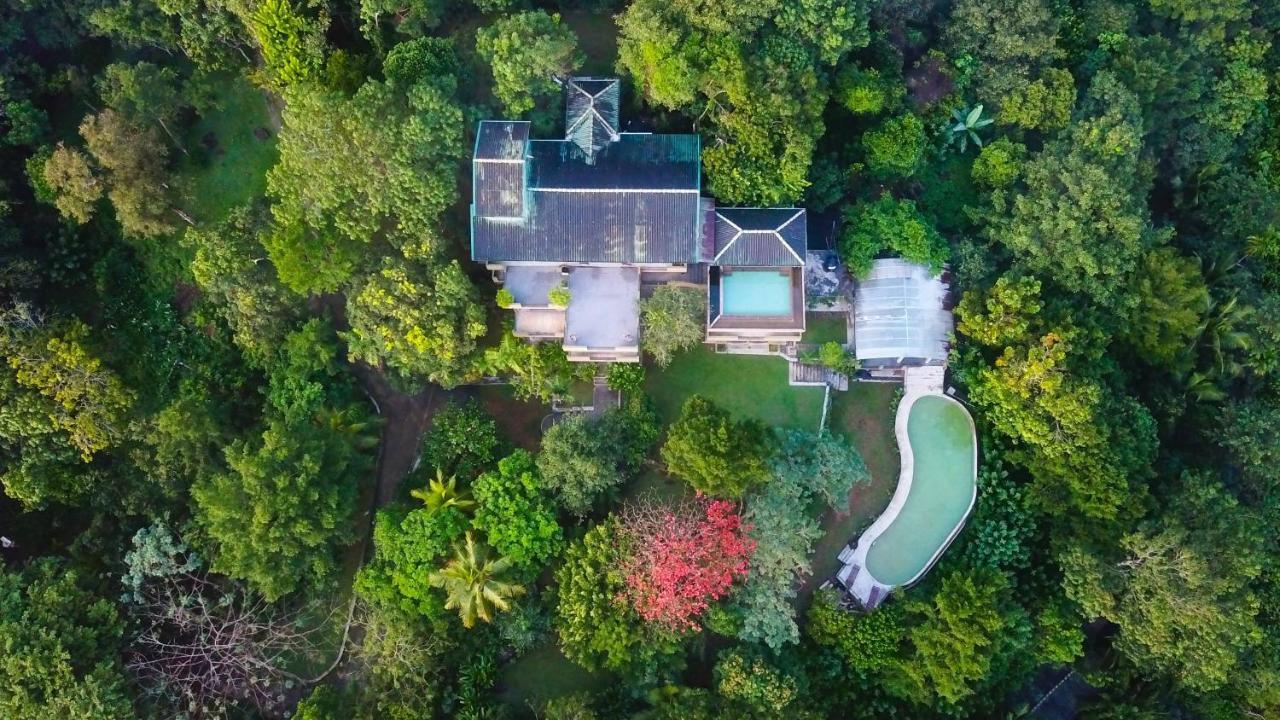 Mangrove Escapes Resort Bentota Eksteriør billede
