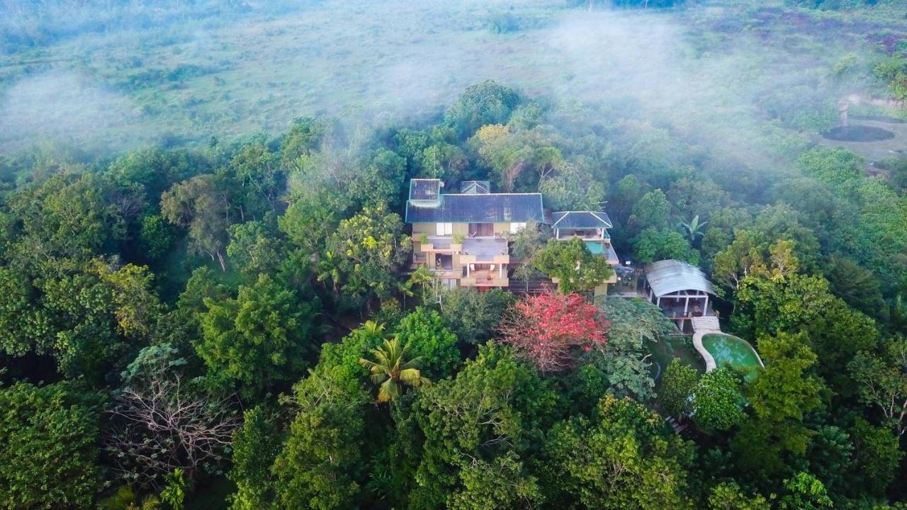 Mangrove Escapes Resort Bentota Eksteriør billede