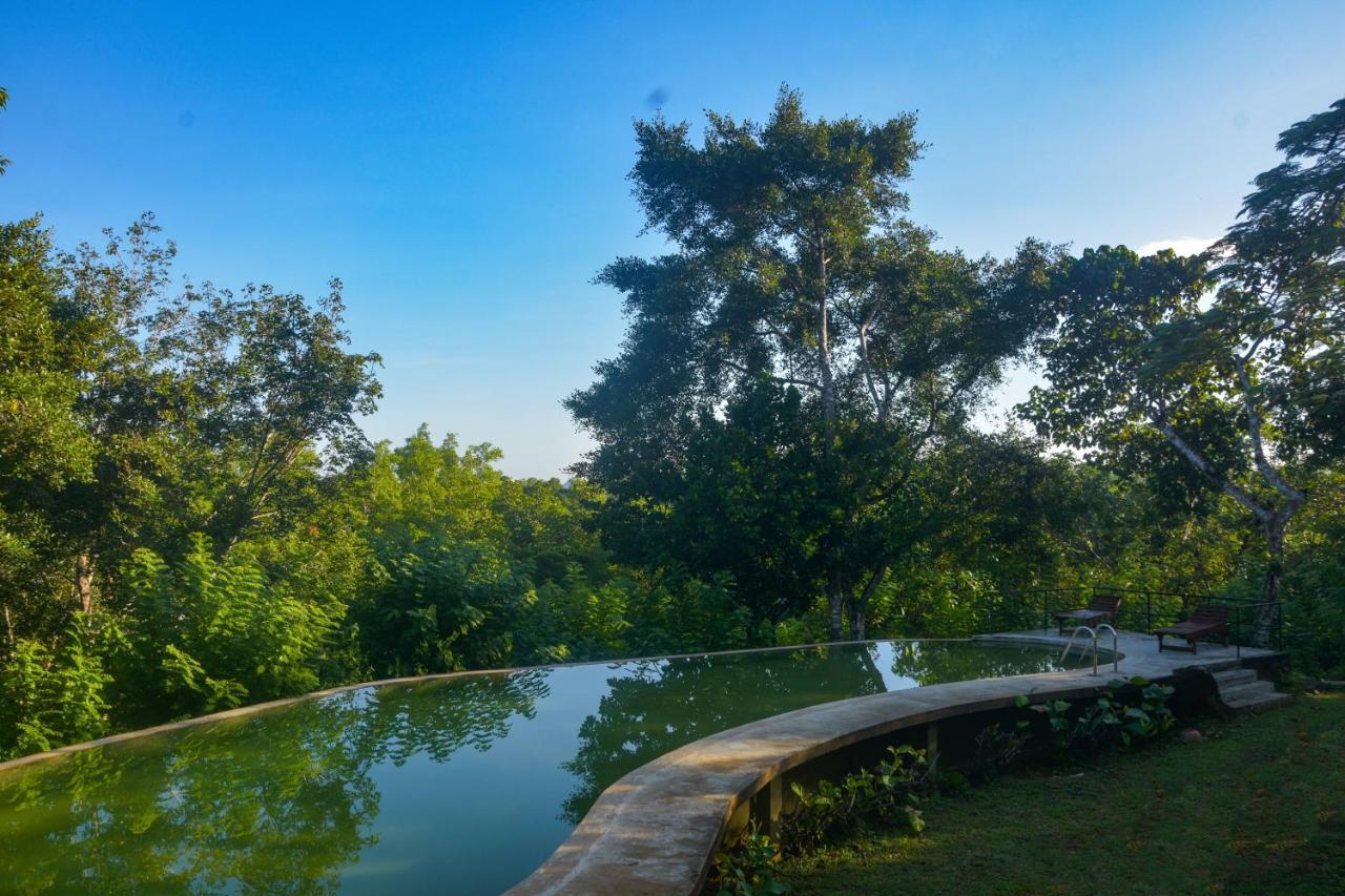 Mangrove Escapes Resort Bentota Eksteriør billede